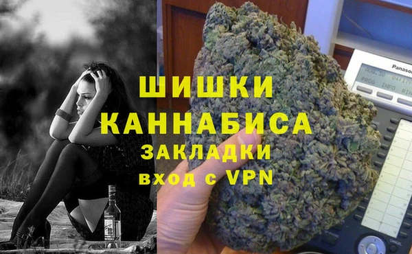 прущие грибы Зеленодольск