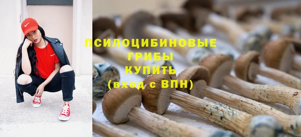 ешки Зерноград