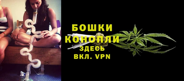 бошки Заводоуковск