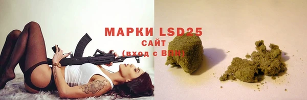 прущие грибы Зеленодольск