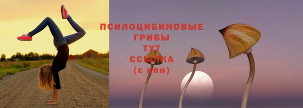 МДМА Заволжск