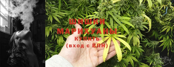 бошки Заводоуковск