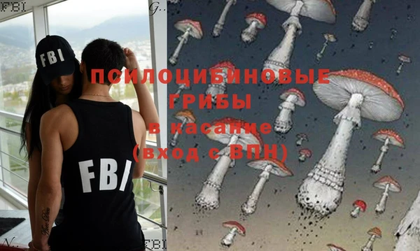 прущие грибы Зеленодольск