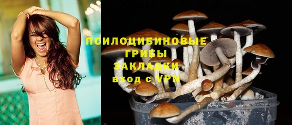 прущие грибы Зеленодольск