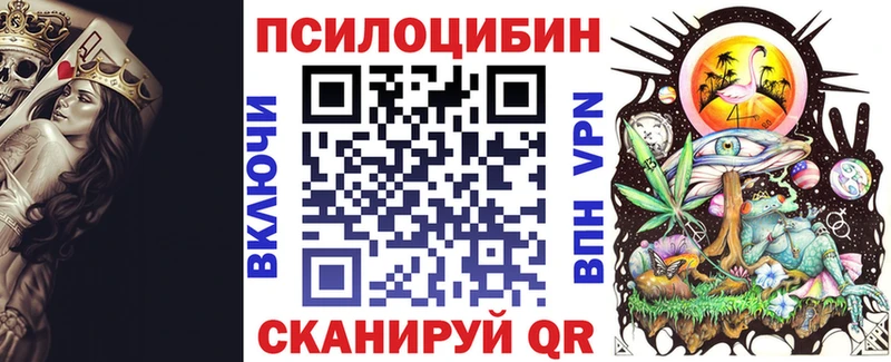 Купить  Москва  Галлюциногенные грибы Psilocybine cubensis 